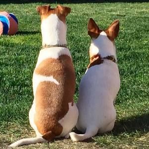 Meet your Posher, Miranda